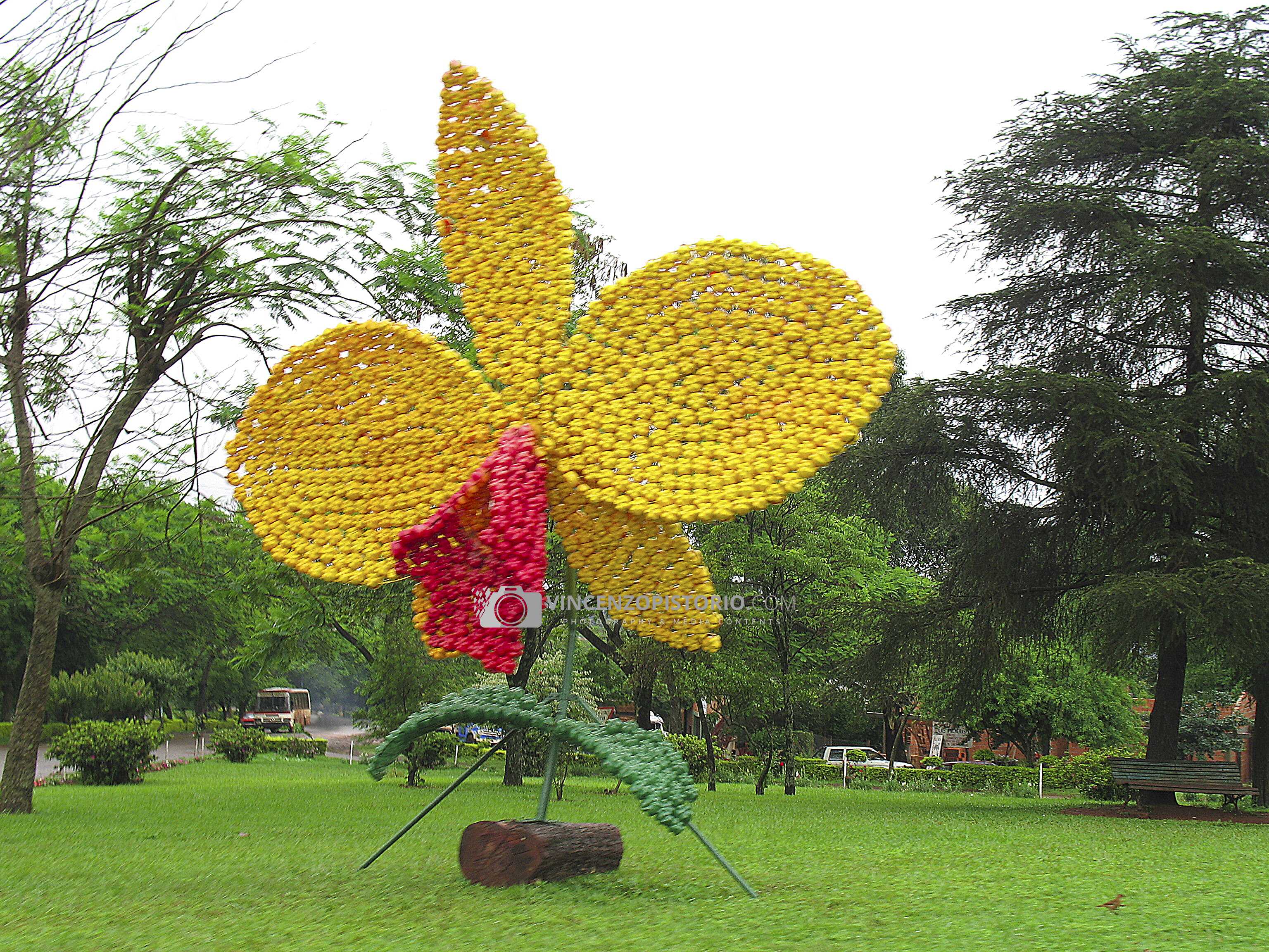 Big Flower